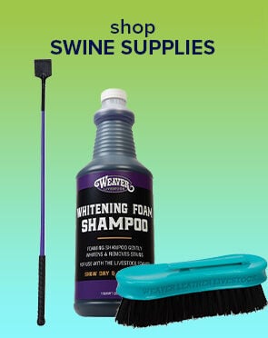 Swine Supplies